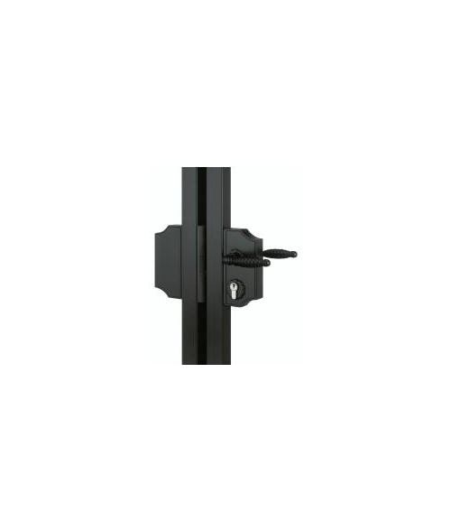 Locinox Lock-Box for Ornamental Lock